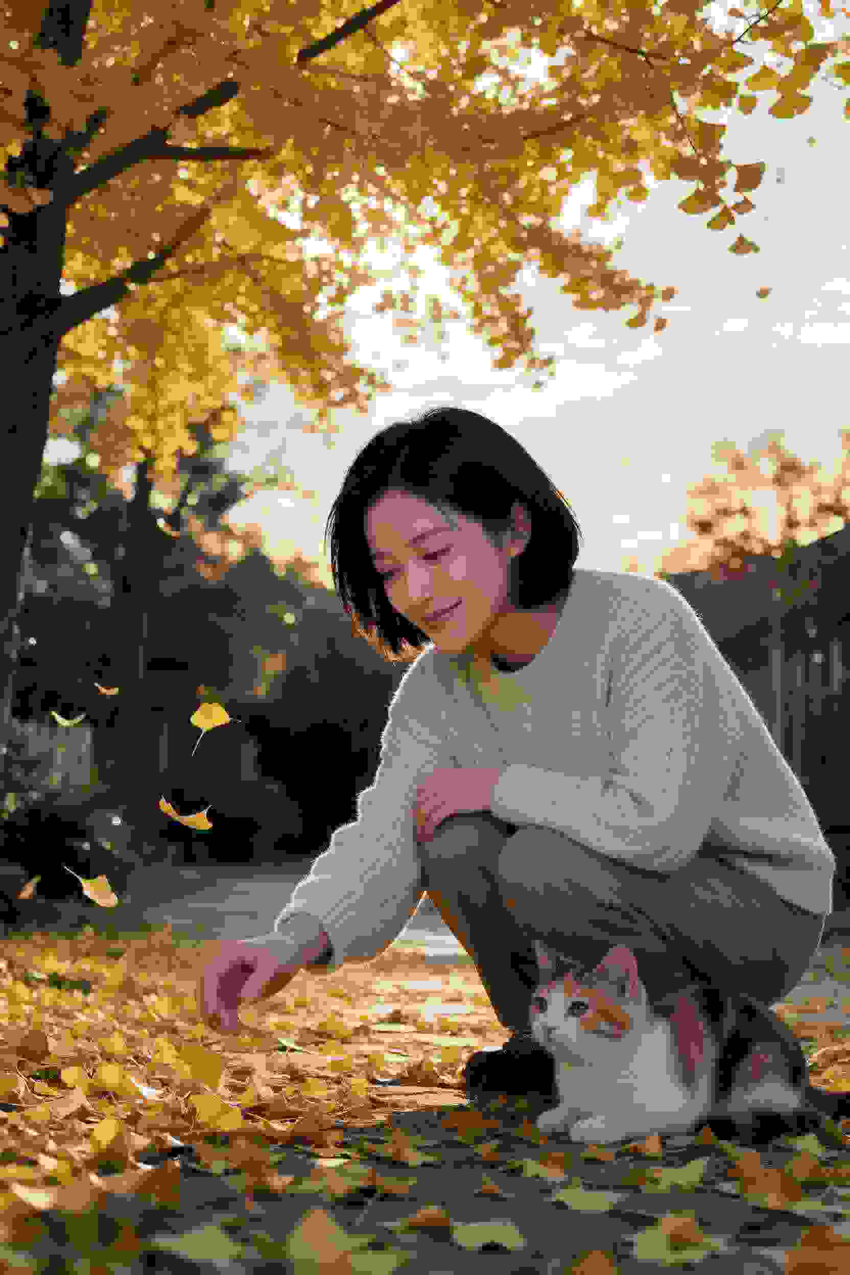 穿越成妃
